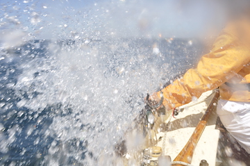 Dabber between lorient and groix island